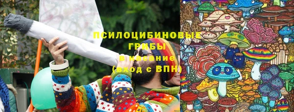 ПСИЛОЦИБИНОВЫЕ ГРИБЫ Алексин