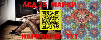apvp Кохма