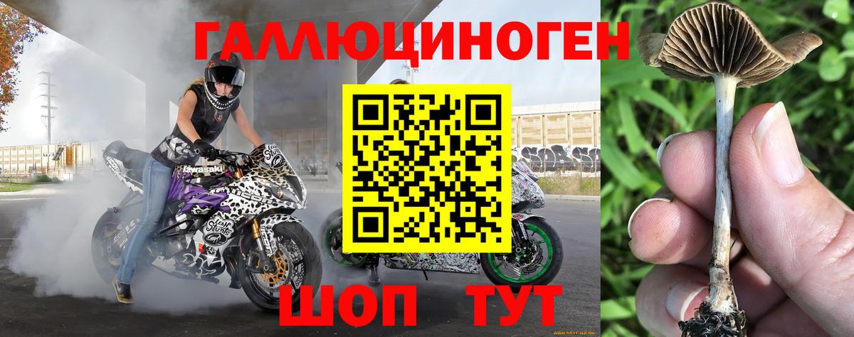 Псилоцибиновые грибы прущие грибы Балабаново