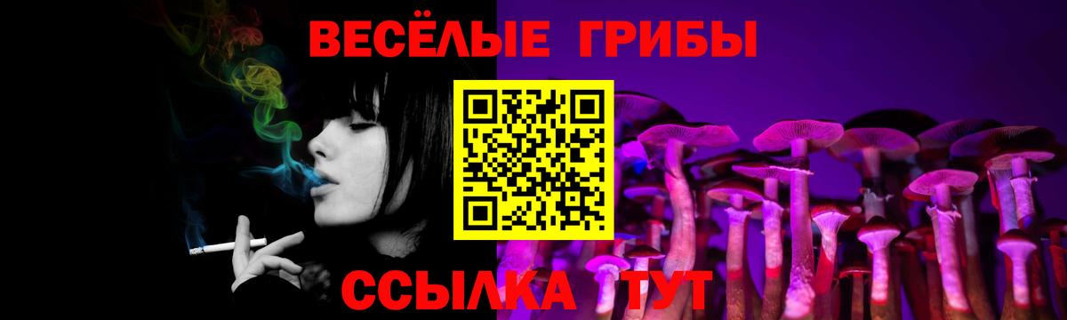Псилоцибиновые грибы мицелий  Вход с VPN  Балабаново 